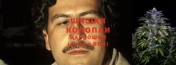 mdpv Вяземский