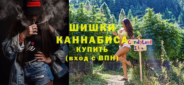 mdpv Вяземский