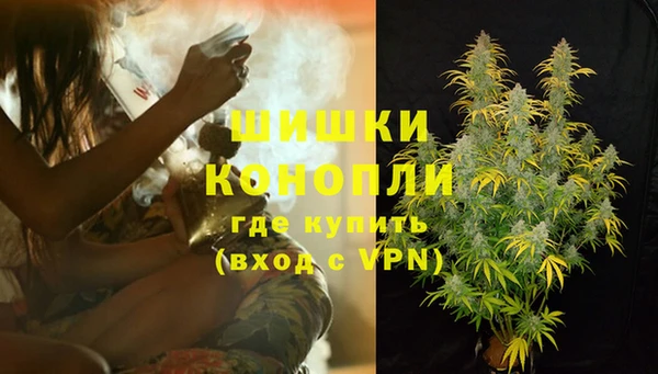 mdpv Вяземский