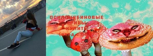 мдпв Волосово